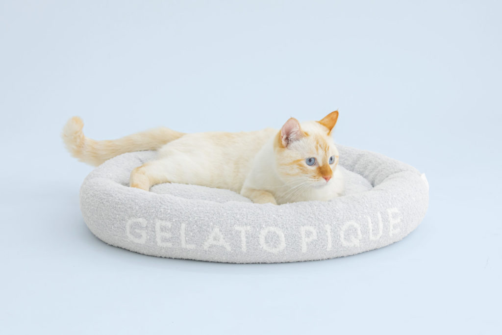GELATO PIQUE CAT&DOG